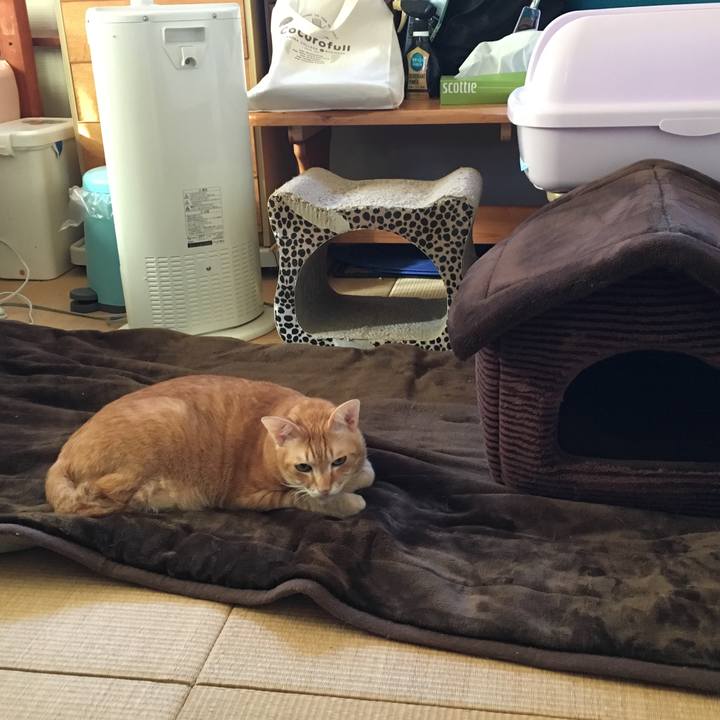 5adb8603 8cf9 423f a4f3 1fd4d6166204 1542164684025