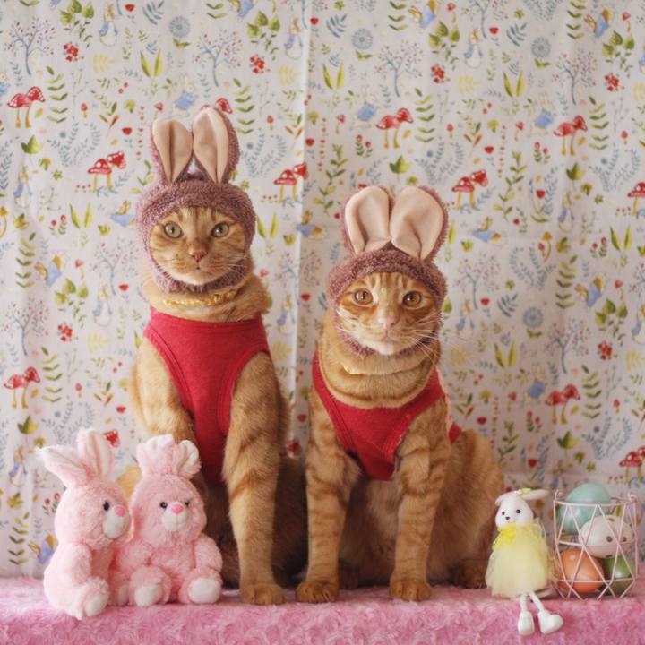 5adb9456 79db 44fa a36f fb06b960909b 1712890110163