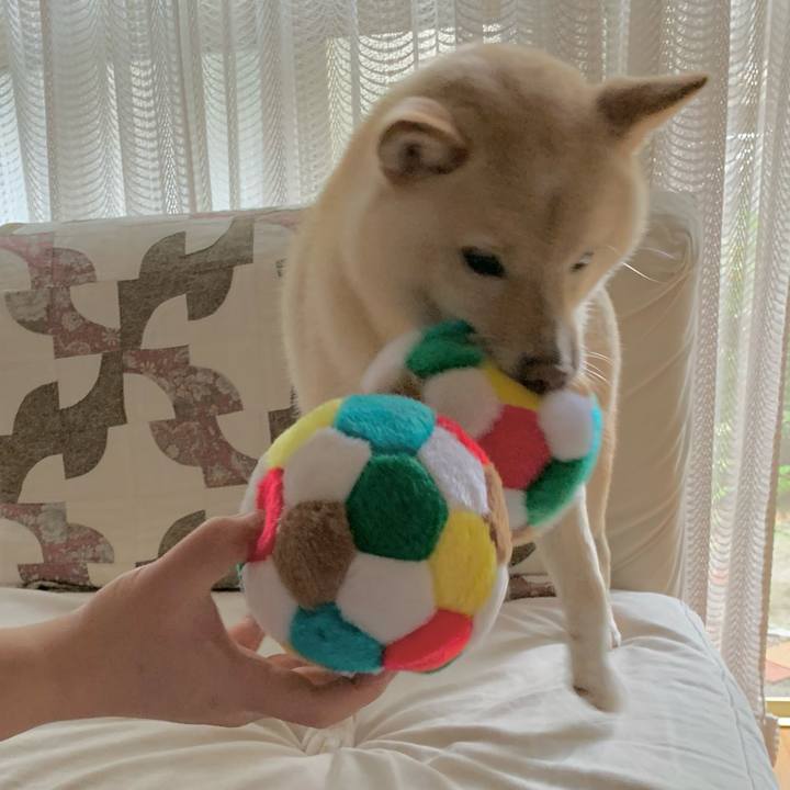 5adb9da3 7bb0 4754 a64e 7021d183b300 1629087333571