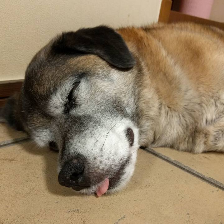 5adbc981 8238 492c 8ab4 30057becc1e2 1552950638490