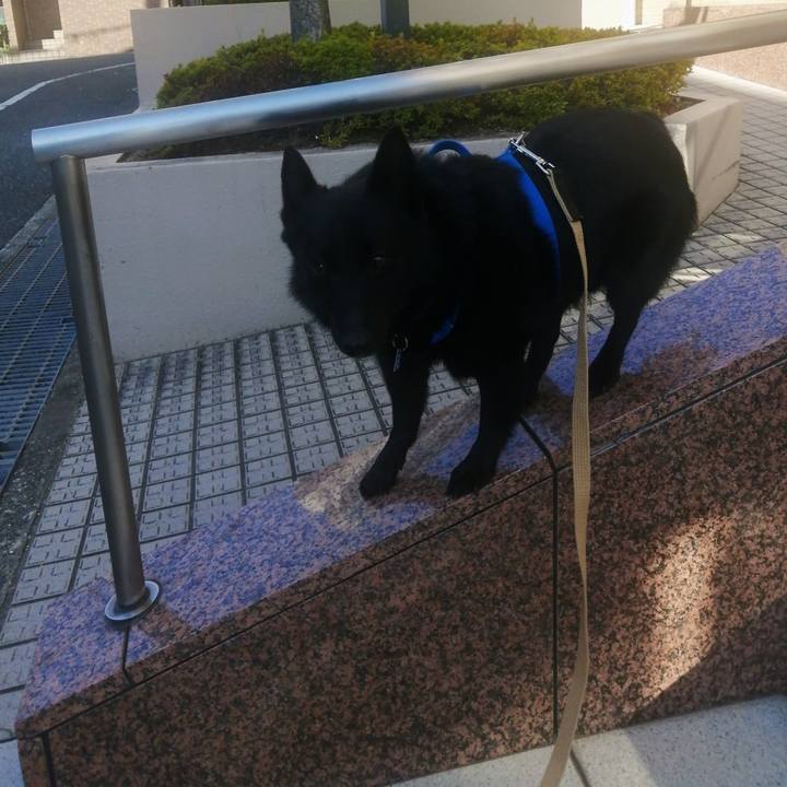 5adbcdfe 49c9 4e54 9f6a 2e4622e67316 1635899188215