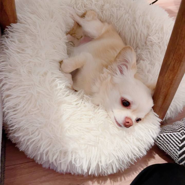 5adbf267 d78e 4f02 ab6a 4a3f15fbc491 1716039657339