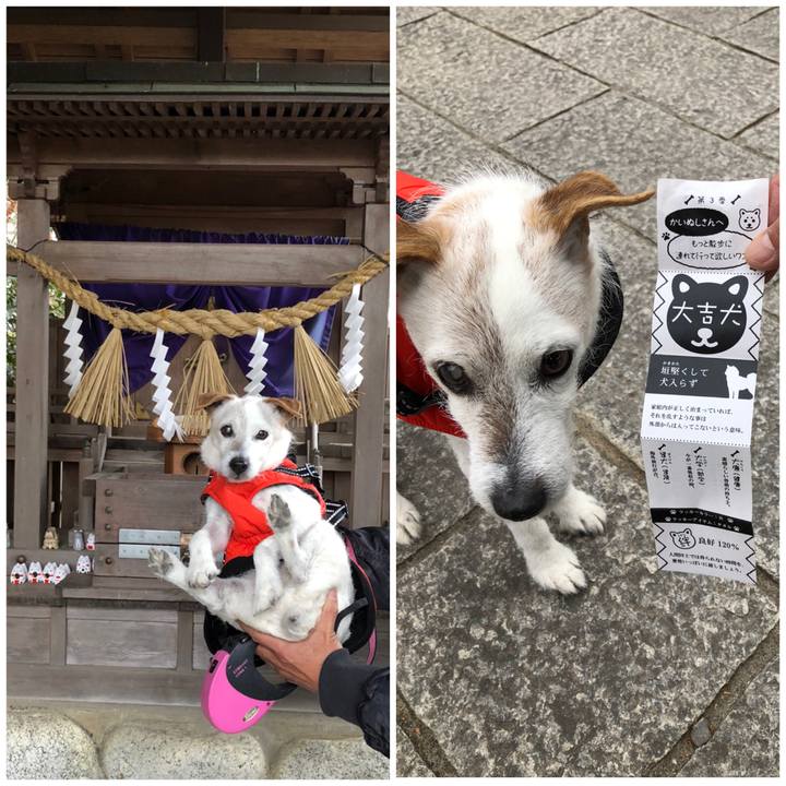 5adc2985 e1f4 4148 9916 f2ac1ad284b9 1609836715250