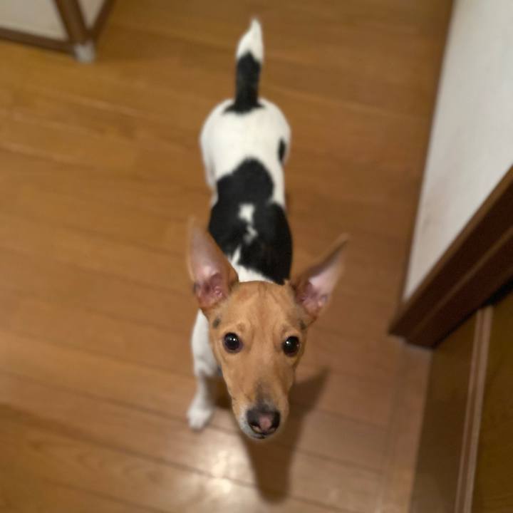 5adc42a0 8d9a 4806 9a3f 15c4d8f33955 1771425514116