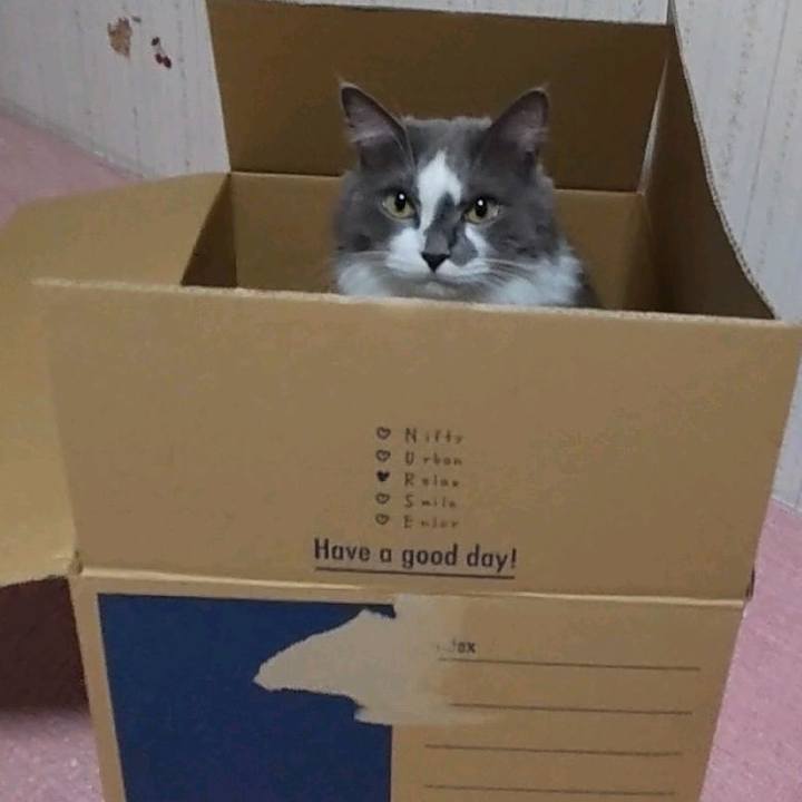 5adc5faa 0c1d 499d ad73 f91a274cc595 1694588995126