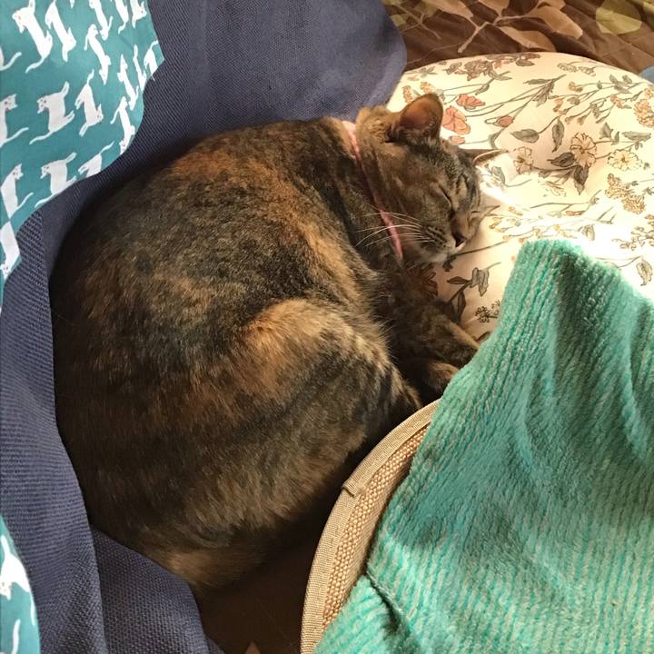 5adc7036 4baf 4abc a112 2e16afae54f5 1744778390863