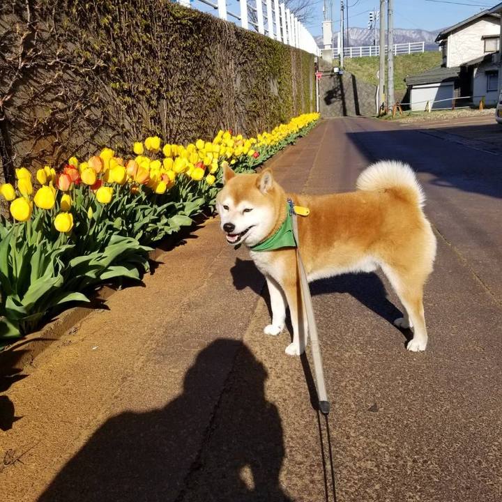 5adc7320 7be5 4161 a374 e48859dea7d8 1555743686362