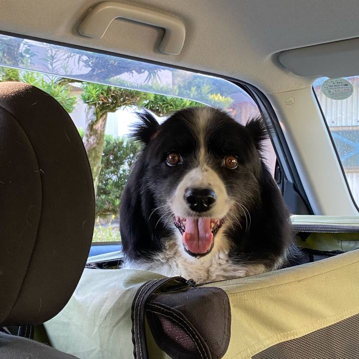 5adcb9b7 46f6 490e b11e 8497c157c5b7 1659391543529