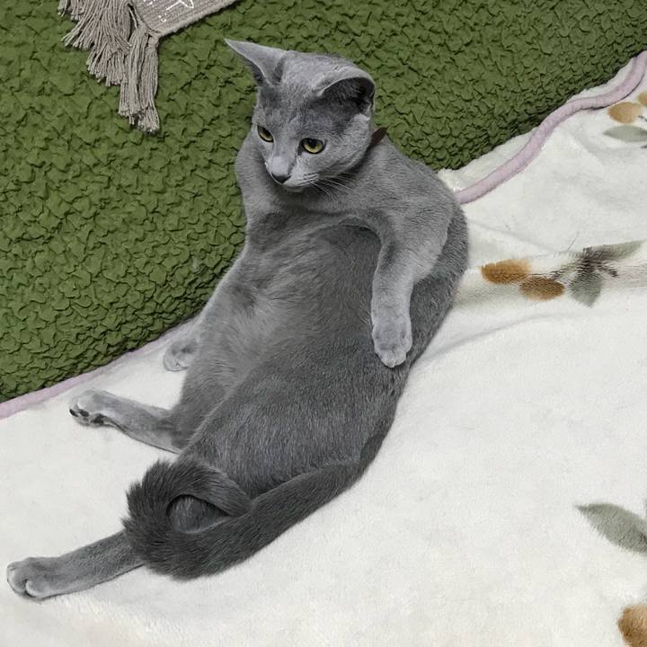 5adce89a 62b7 4943 a07f 594d2e373340 1524309090554