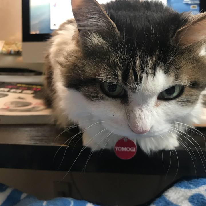 5add05a6 6b40 41b2 9d97 67796db3bb6b 1551837923866