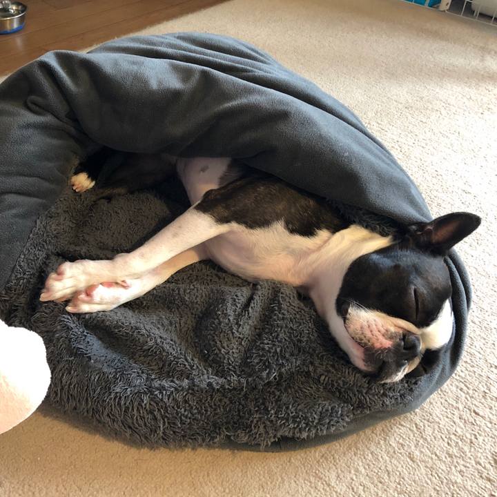 5add4762 217f 4b09 8bbb a28ab39a57de 1594280516416