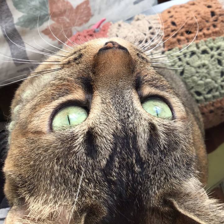 5add4af7 8842 4c3e a395 5ccd47ecb6bf 1644976424494