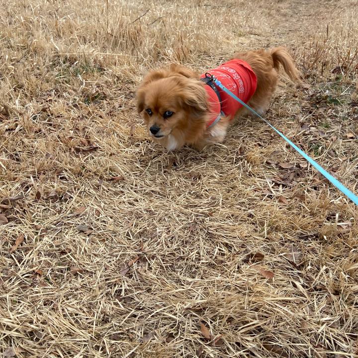 5add4db2 6879 4662 a8a0 0594a0ba1c16 1613263557040