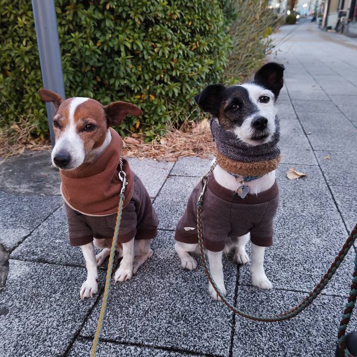 5add5bee 92aa 442c bf66 15322e2e47a7 1736373274275