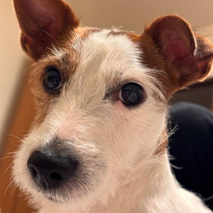 5add7245 5c16 4797 aa62 89084ffedd5e 1759413933250