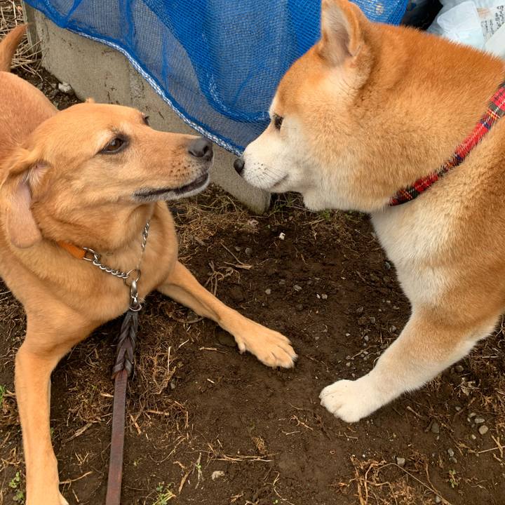 5add73ff 4071 4eb3 b331 706aaa1de442 1571180015627