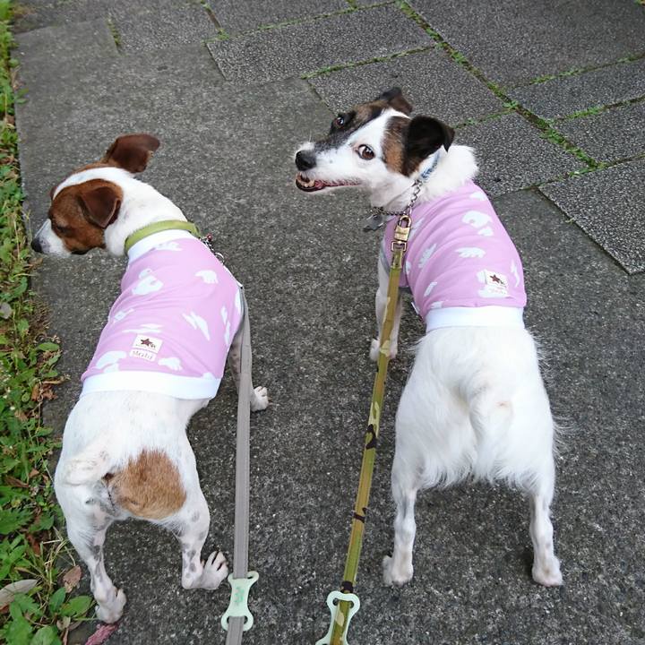 5add75da 7dcd 45d2 910c 9489ca6756d4 1591707405481