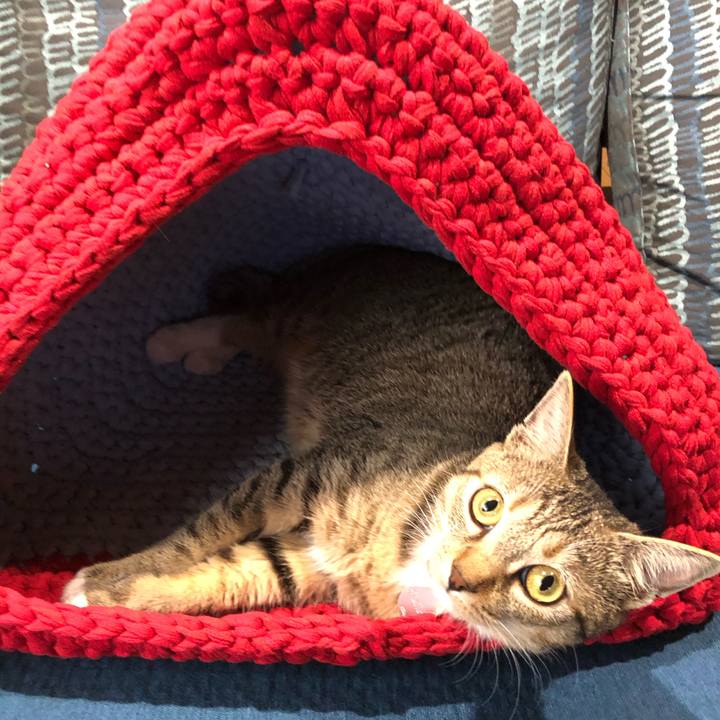 5add7a4d 6363 4a8f 9c4f 9bd9ff73d348 1598155443085