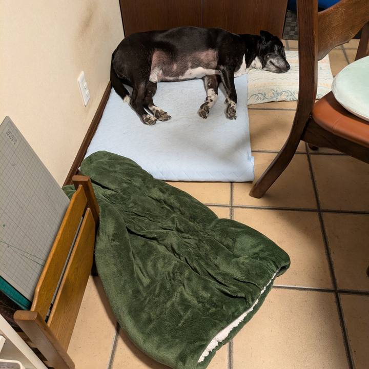 5adda06b f7fc 4300 bd16 7e97542d6a72 1754687431585