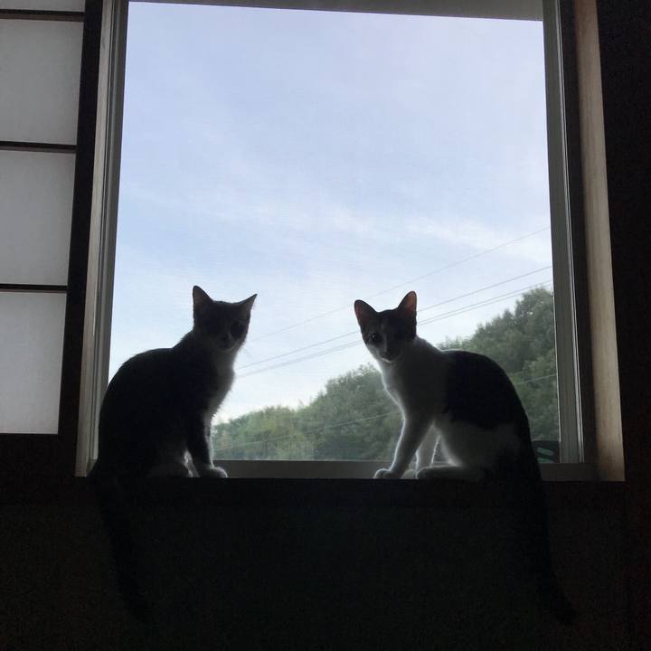 5addd081 8c7f 4d4a 8081 cb422ba0df70 1534629861591