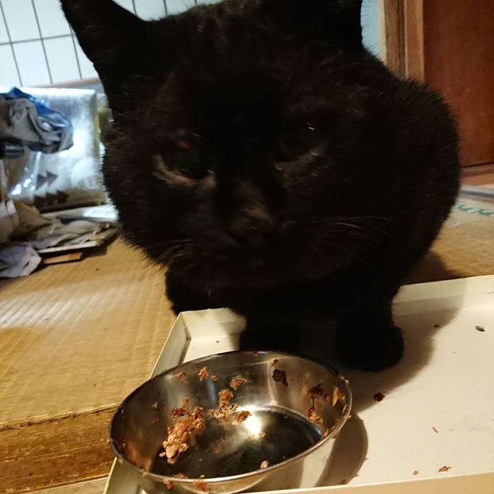 5ade119c d660 4786 b770 0b7ff8bd621c 1615378560843