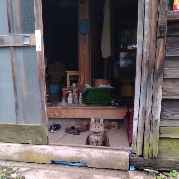 5adeab60 99c8 49ff 86db 86e25d3866df 1760257366362