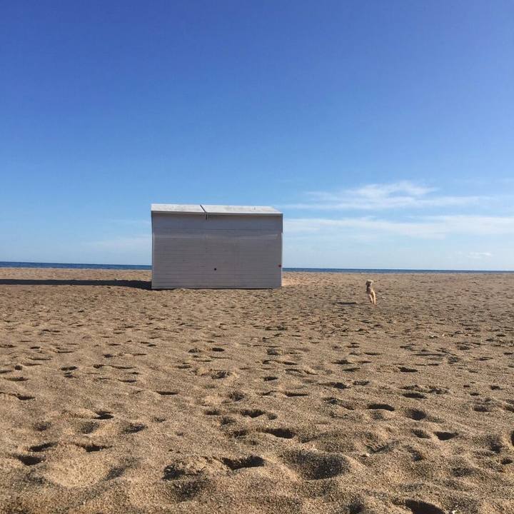 5adecb61 4842 448a 8fbe 62d78217420c 1575564182397