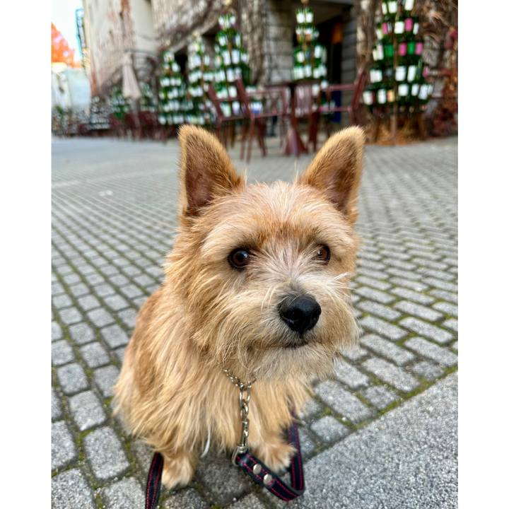 5aded25a ab53 4c57 9bbc 371fad396bd8 1732982368655