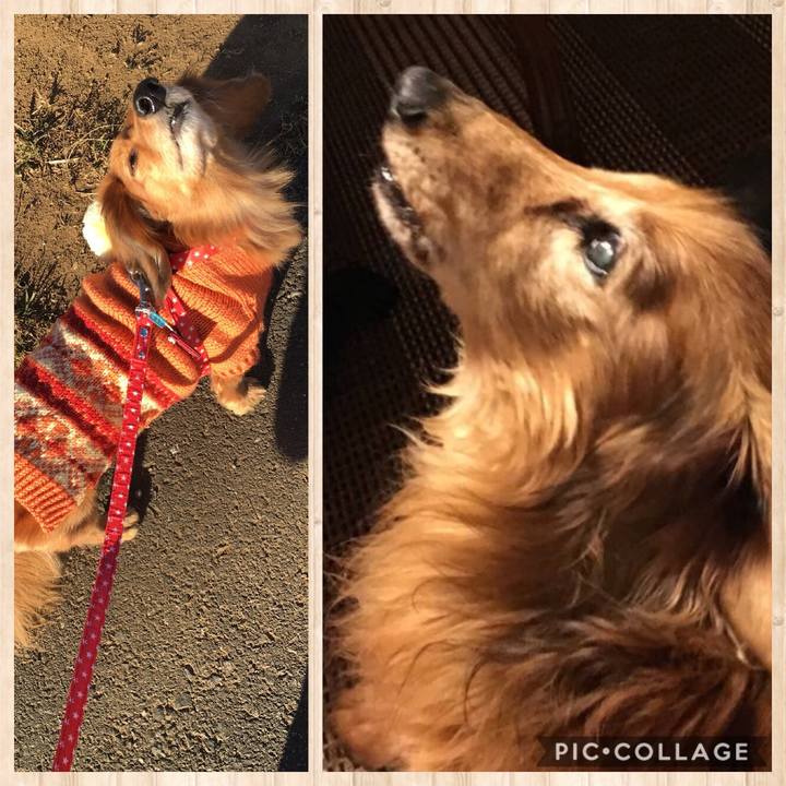 5adee937 d559 43ac b797 1ed5054bf09c 1519123084248