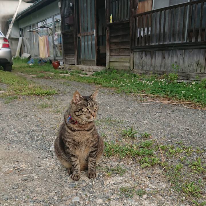 5adefff6 9a71 4115 8dca 66abb64b4a06 1656452921694