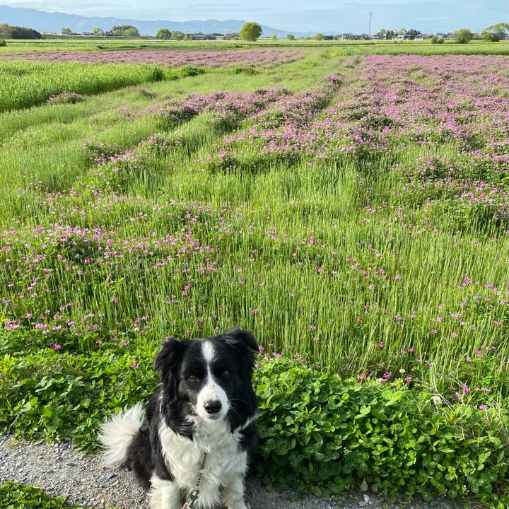 5adfc9d7 d6f8 4456 8a52 722dd8e431e7 1617407179735