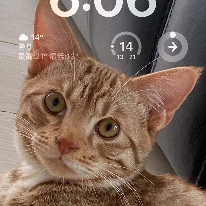 5adfedb5 a1f2 4df3 b200 e1d1860deb2c 1679652853663