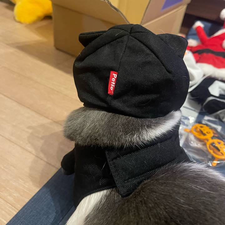 5adffc8a 4a98 4076 a1ab 1d6b42c3e153 1698739394943