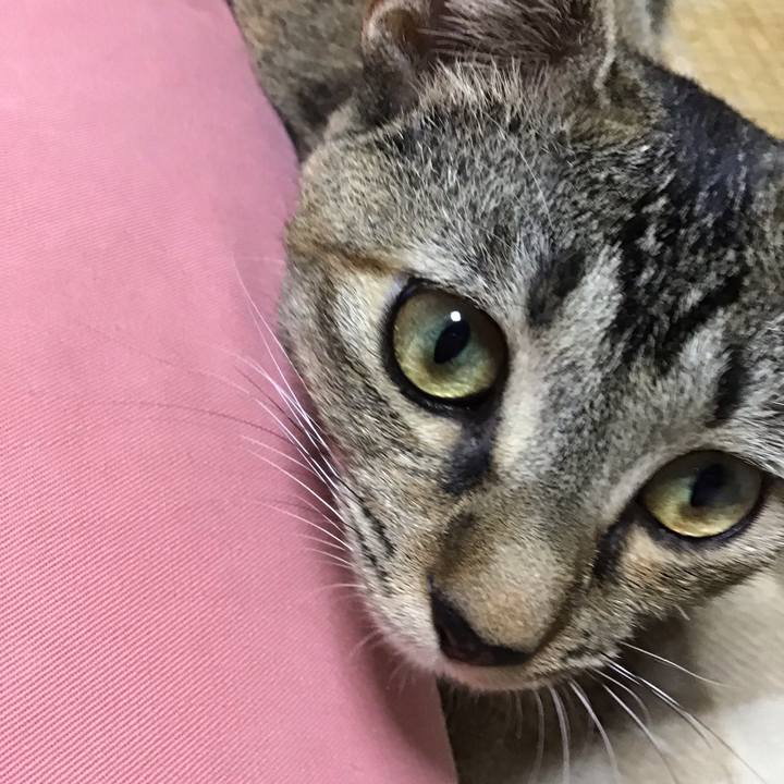 5ae0047b fd40 4995 a96d af33b1348094 1574072443648