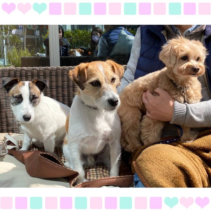 5ae02794 c56c 4c12 8c2d c4b816dc77dc 1583239924929