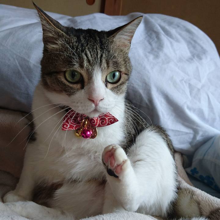 5ae05ac1 f41a 47bb bf61 dabf79f039c9 1525136230928