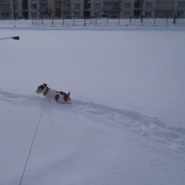 5ae073e7 e587 4135 9f45 a38847f7f2cd 1517741928103