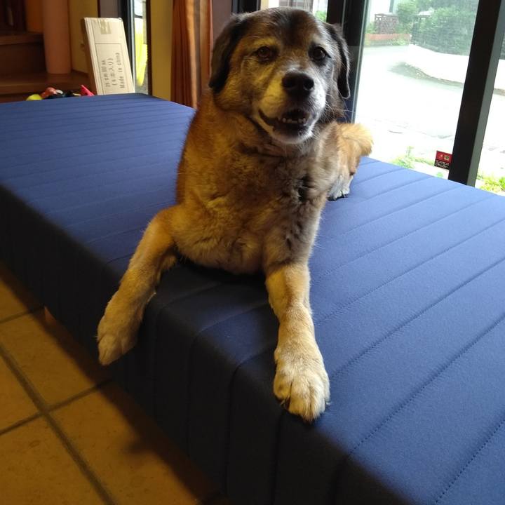 5ae075cc 6175 40f0 87a8 3f2630bce9e8 1561772187757