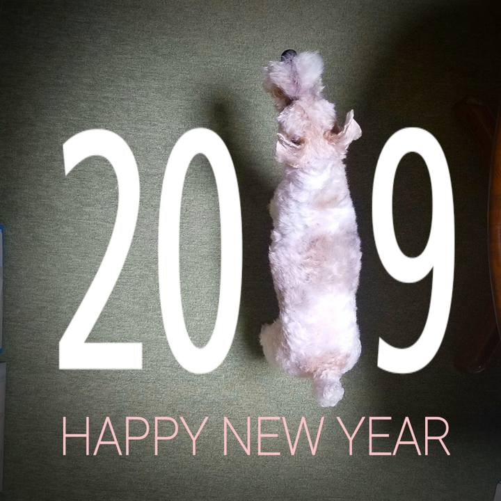 5ae0c21f 96dc 404a bd36 6c93ebae0cd6 1546316138570