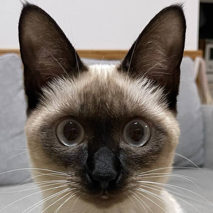 5ae0c633 5aa0 46f3 a450 2110c7ce1da7 1700337471126