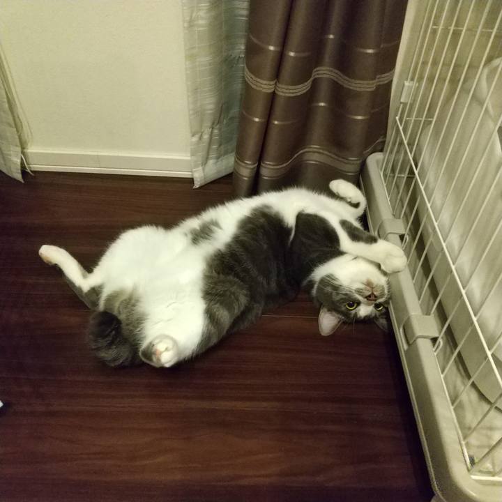 5ae0e7ac 79df 4d04 9c75 538d13168bc9 1603802178009