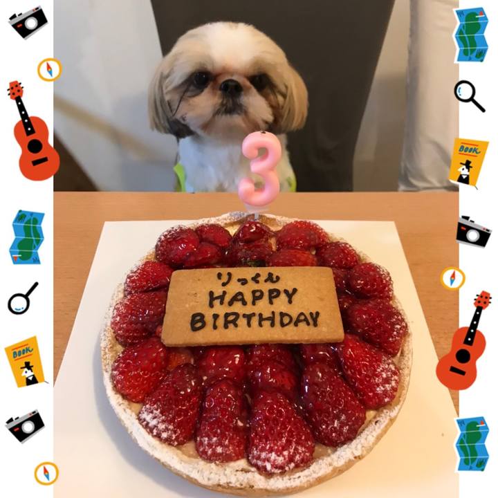 5ae1101d 5d6e 4e66 8d3b 68722de92573 1618749047414