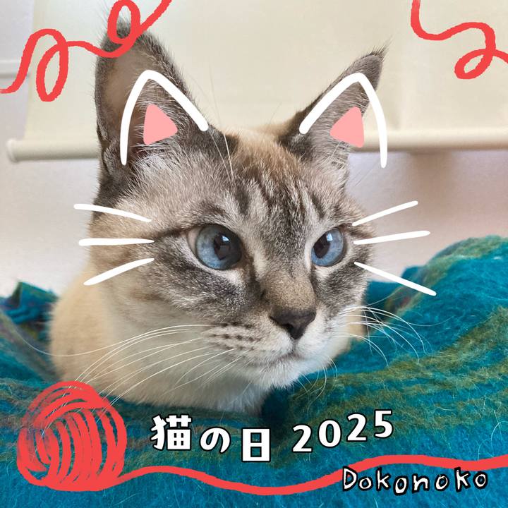 5ae11c7a 7334 464a bccb 093f49f133a0 1740117121131