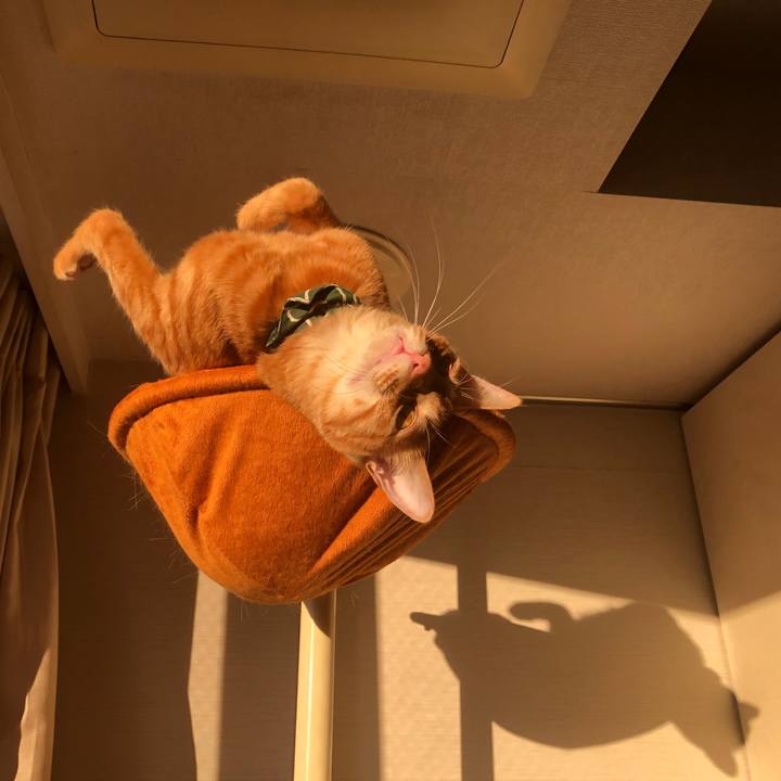 5ae13c39 b215 4e20 bf7e 9fa2784a0c2d 1638647293651