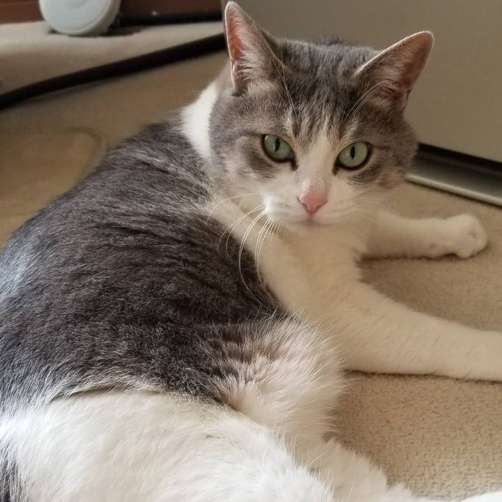 5ae179ba 8d2e 489b 9215 6e33d018d8fa 1686280956989