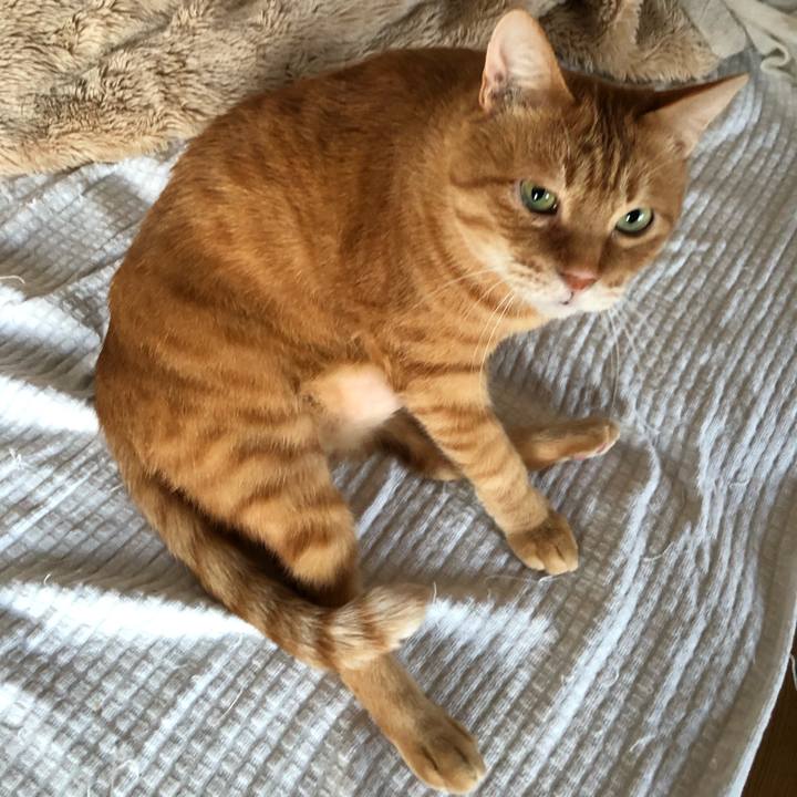 5ae17ae6 10e4 4d53 bbfb 1cc6ce7e0948 1639001508655