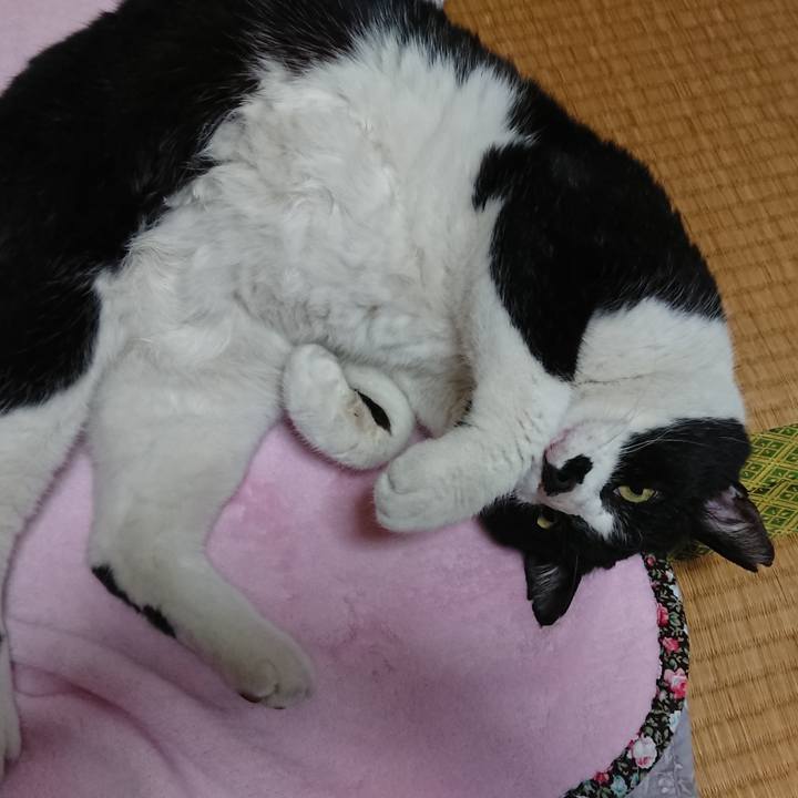 5ae17d99 d3f8 4406 81b5 78255e95580f 1554004310380