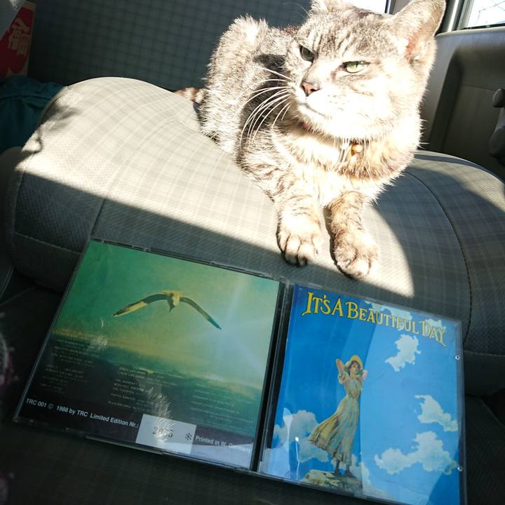 5ae181ec 0429 484a aea3 af0df6a1c827 1585466413308