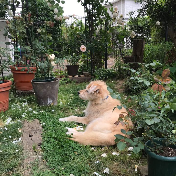 5ae236f0 22f2 41ff 80c9 d53417f5fd3f 1558322515578