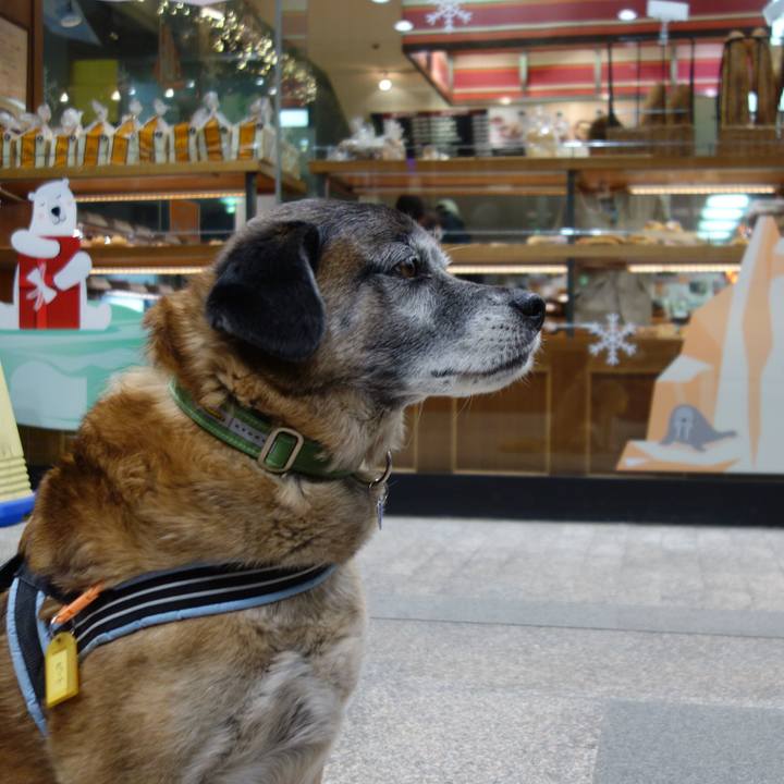 5ae280b8 b01d 4582 8d35 53484f1e577c 1550920373537